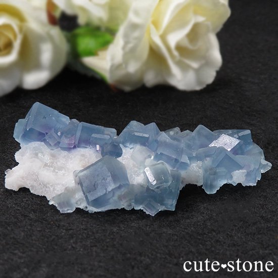  ֥롼ե饤ȤθСʹʪɸܡ31gμ̿0 cute stone