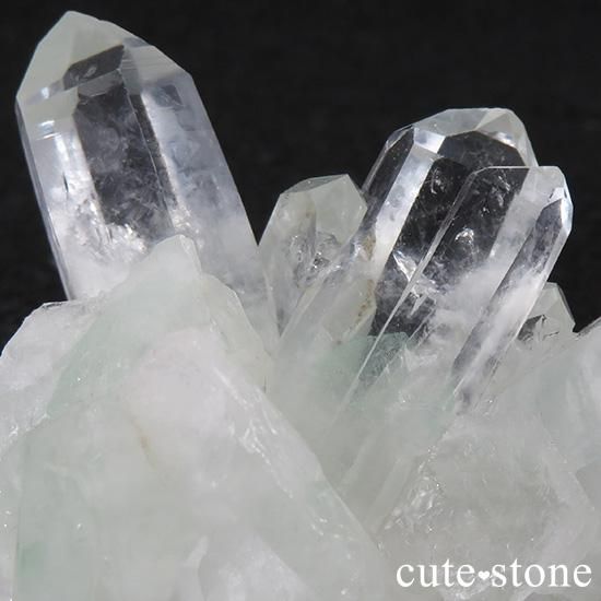 ꡼եȥ९ġʥȥġˤΥ饹ʸС95.4gμ̿0 cute stone