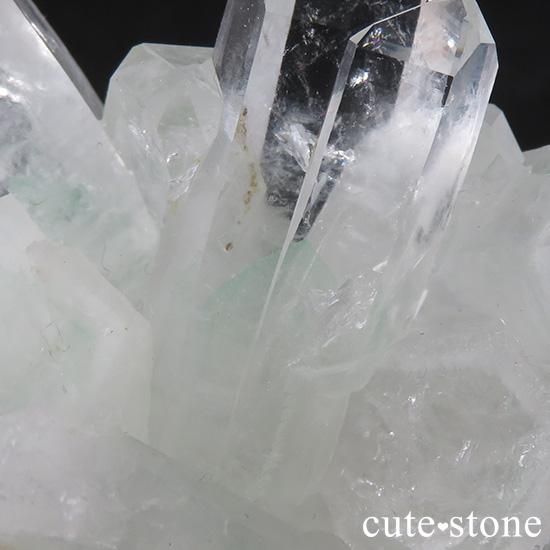 ꡼եȥ९ġʥȥġˤΥ饹ʸС95.4gμ̿2 cute stone