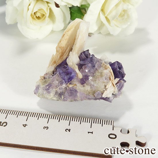 ڥ ٥٥ ѡץե饤ȡХȤθСʹʪɸܡ55gμ̿5 cute stone