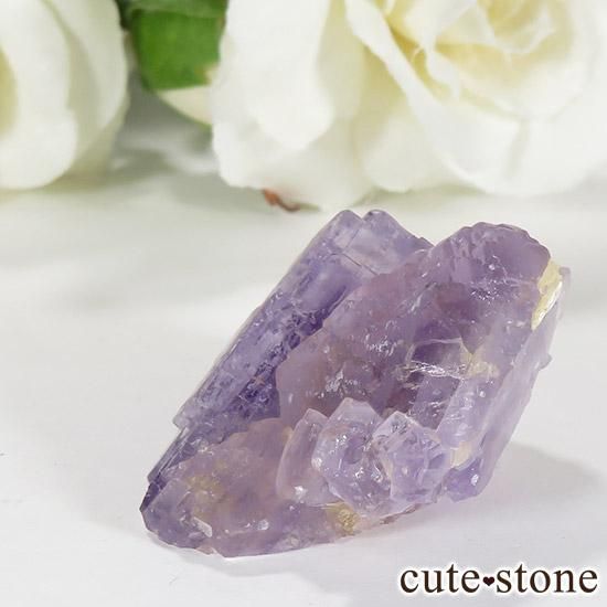 ڥ ٥٥ ѡץե饤ȤθСʹʪɸܡ18.5gμ̿1 cute stone