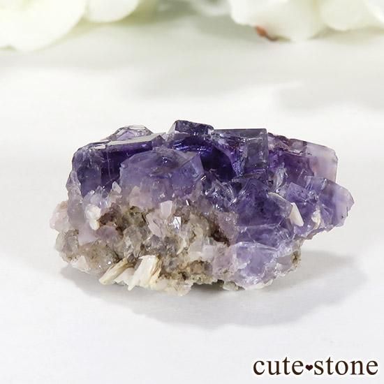 スペイン ベルベス産 パープルフローライト（鉱物標本）11g - cute stone -