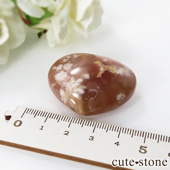 ꡼֥åॢȡʺˤΥϡȷݥå 27.5gμ̿3 cute stone