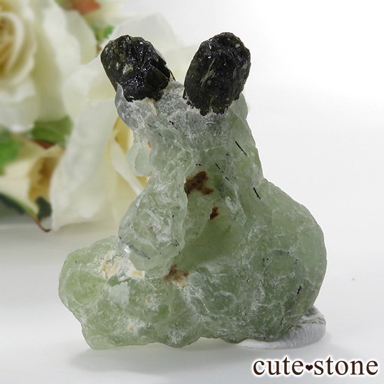 ޥ껺 ץʥȡԥɡȤθСʹʪɸܡ35gμ̿0 cute stone