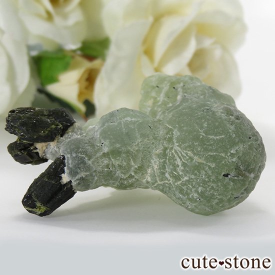 ޥ껺 ץʥȡԥɡȤθСʹʪɸܡ35gμ̿1 cute stone
