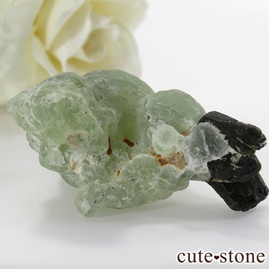 ޥ껺 ץʥȡԥɡȤθСʹʪɸܡ35gμ̿3 cute stone