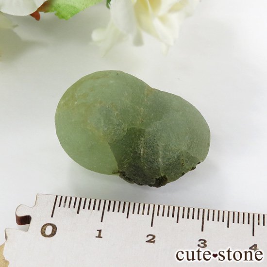 ޥ껺 ץʥȤθСʹʪɸܡ22gμ̿2 cute stone