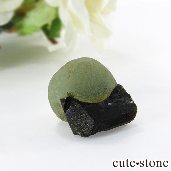 マリ共和国産 プレナイト＆エピドートの原石（鉱物標本）10g - cute 
