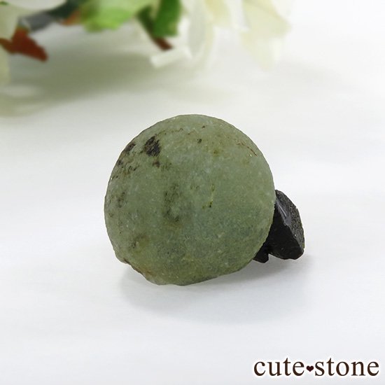 ޥ껺 ץʥȡԥɡȤθСʹʪɸܡ10gμ̿2 cute stone
