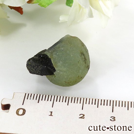 ޥ껺 ץʥȡԥɡȤθСʹʪɸܡ10gμ̿3 cute stone