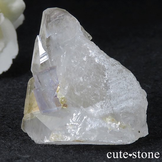  ʻ ե饤ȡ徽ζɸܡʸС34gμ̿0 cute stone