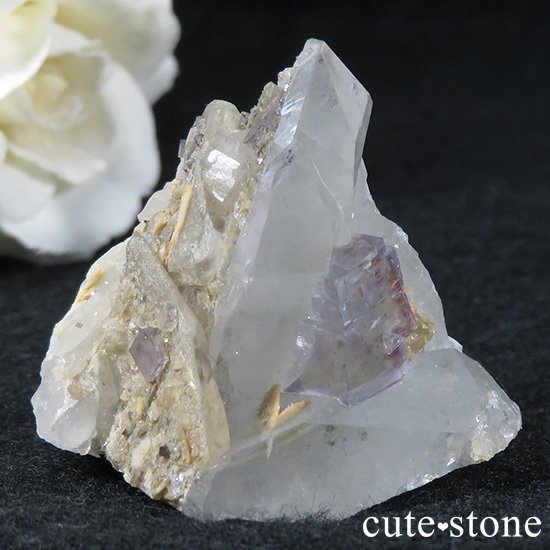  ʻ ե饤ȡ徽ζɸܡʸС34gμ̿1 cute stone