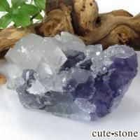  ʡʻ ե饤ȡ륵ȤζɸܡʸС309gβ