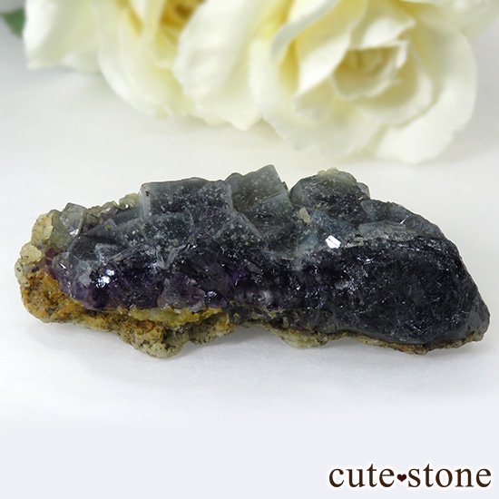  ˾뾽ե饤 26gμ̿0 cute stone