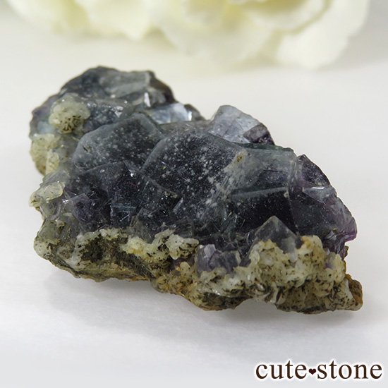  ˾뾽ե饤 26gμ̿1 cute stone