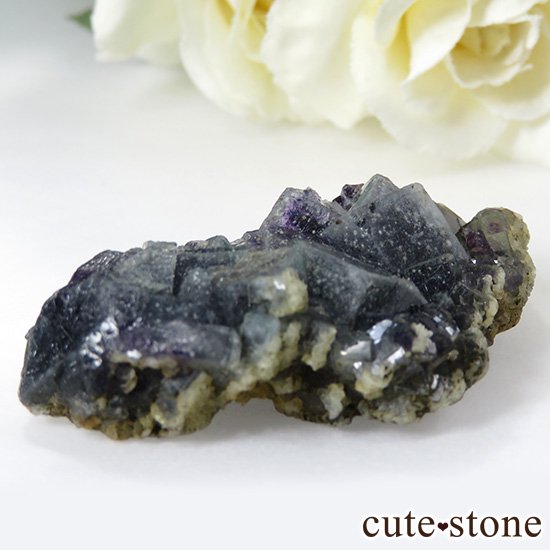  ˾뾽ե饤 26gμ̿2 cute stone