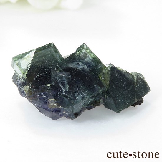  󥴥뻺 ˾뾽ե饤 19gμ̿1 cute stone