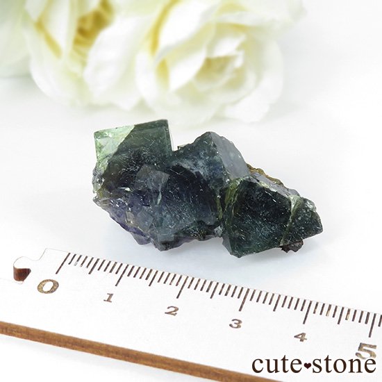  󥴥뻺 ˾뾽ե饤 19gμ̿6 cute stone