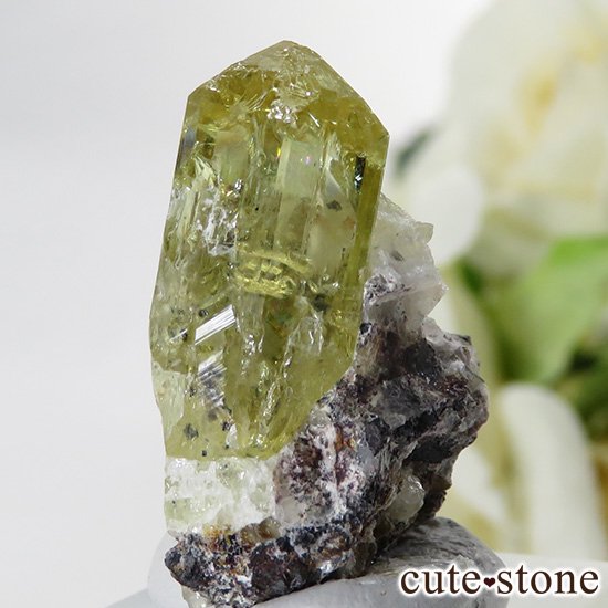 ᥭ ե륪ѥȤդ뾽ʸС10gμ̿0 cute stone