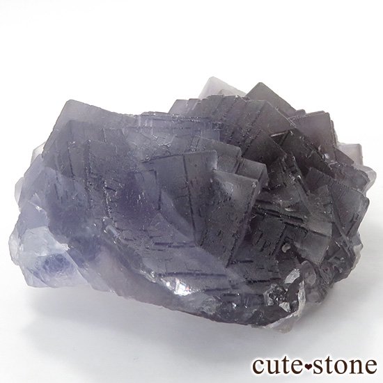 ѥ Х󽣻 ѡץ֥롼ե饤ȸФμ̿0 cute stone