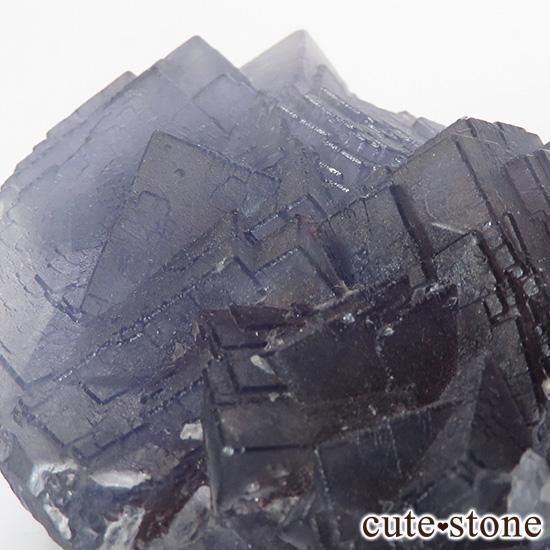 ѥ Х󽣻 ѡץ֥롼ե饤ȸФμ̿5 cute stone