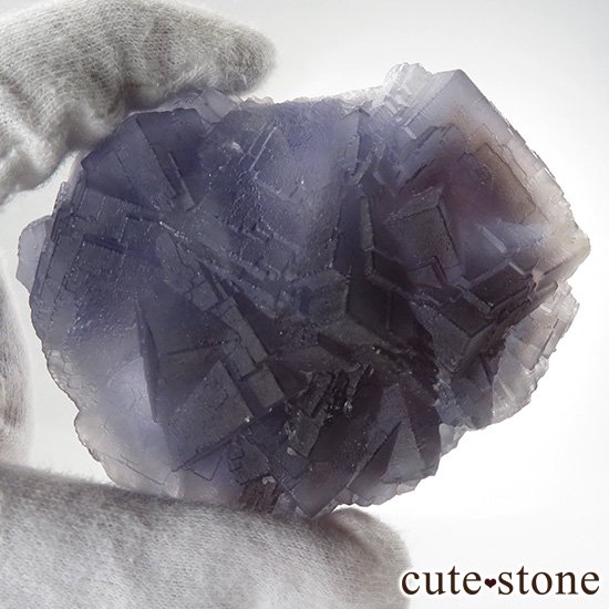 ѥ Х󽣻 ѡץ֥롼ե饤ȸФμ̿6 cute stone