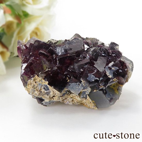 ʥߥӥåɥѡץե饤Ȥθ 106gμ̿0 cute stone