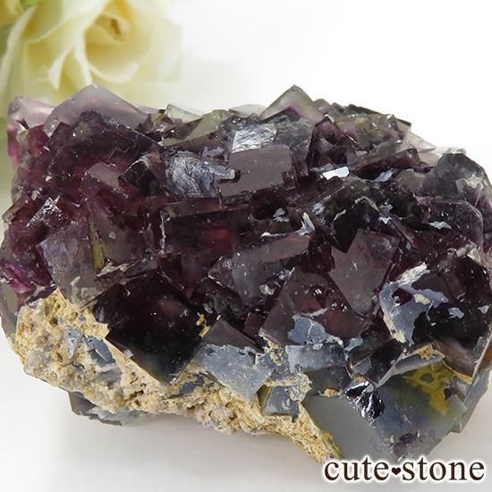 ʥߥӥåɥѡץե饤Ȥθ 106gμ̿2 cute stone