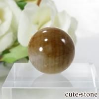 ペトリファイドウッド(珪化木)の意味・鉱物辞典 cute stone ペトリファイドウッド(珪化木)の意味・鉱物辞典 cute stone