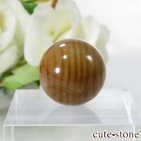 ペトリファイドウッド(珪化木)の意味・鉱物辞典 cute stone ペトリファイドウッド(珪化木)の意味・鉱物辞典 cute stone