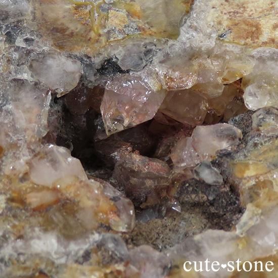 ペトリファイドウッド(珪化木)の大きなスライスの写真6 cute stone