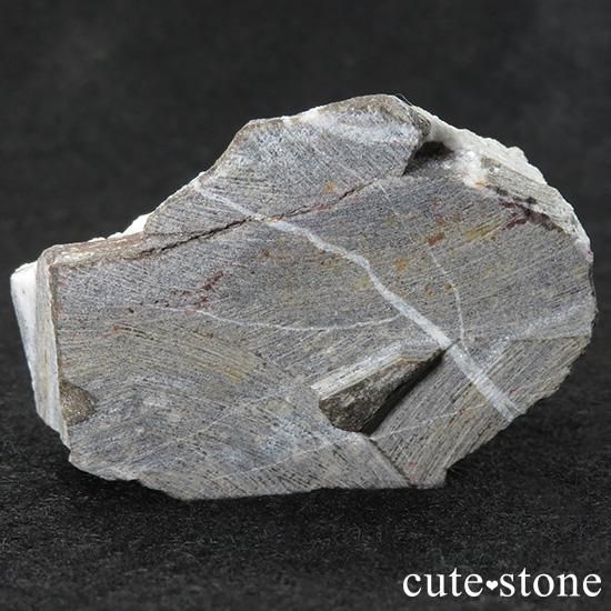 äʥ󥷥˥ʥСդ 89gμ̿0 cute stone