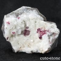 äʥ󥷥˥ʥСդ 89gβ