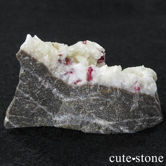 äʥ󥷥˥ʥСդ 52gμ̿0 cute stone