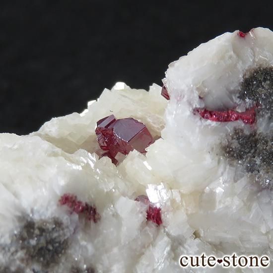 äʥ󥷥˥ʥСդ 52gμ̿1 cute stone