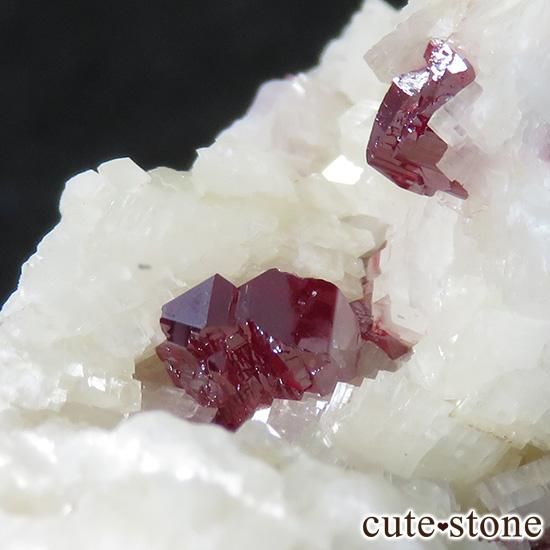 äʥ󥷥˥ʥСդ 52gμ̿3 cute stone