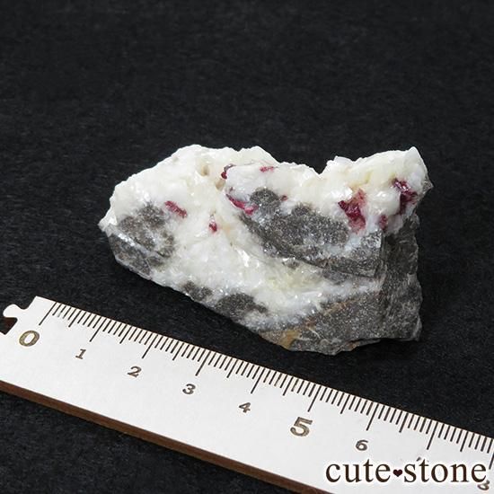 äʥ󥷥˥ʥСդ 52gμ̿5 cute stone