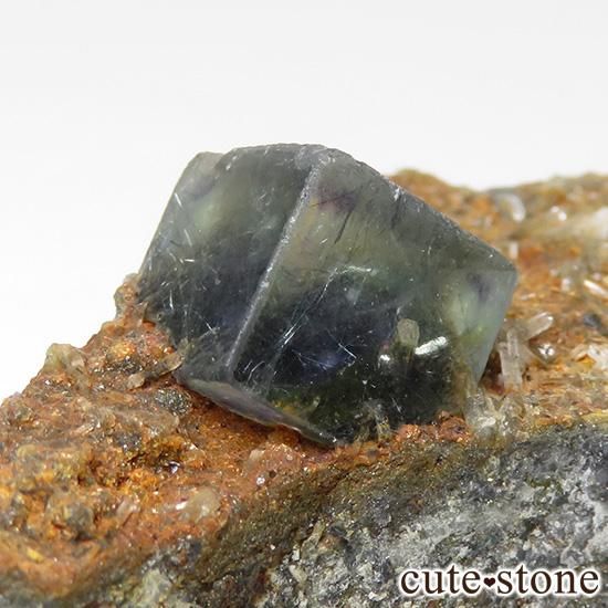  󥴥뻺 ˾뾽ե饤 49gμ̿0 cute stone