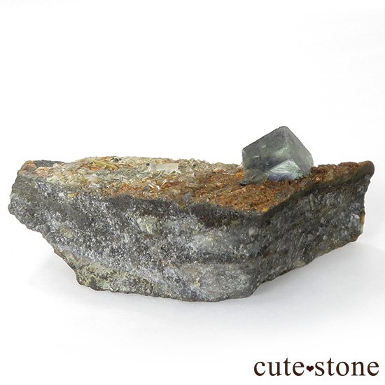  󥴥뻺 ˾뾽ե饤 49gμ̿3 cute stone