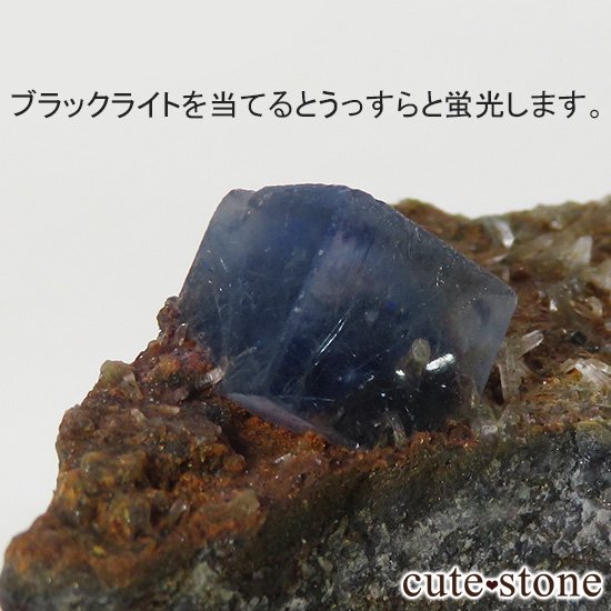  󥴥뻺 ˾뾽ե饤 49gμ̿4 cute stone