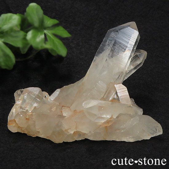 ֥롼ʥ֥롼ե󥯥ġˤΥ饹 122gμ̿6 cute stone