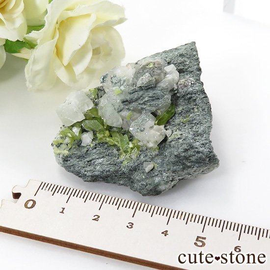 ѥ ɥ եդ 62gμ̿5 cute stone