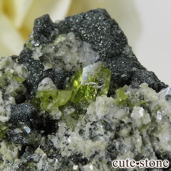 ѥ ɥ եդ 36gμ̿1 cute stone