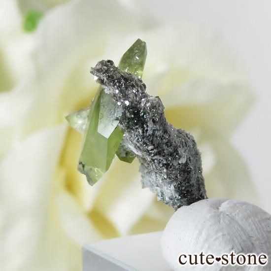 パキスタン スカルドゥ産 スフェーン原石 パキスタン スカルドゥ産 スフェーンの母岩付き原石（標本） 1.2