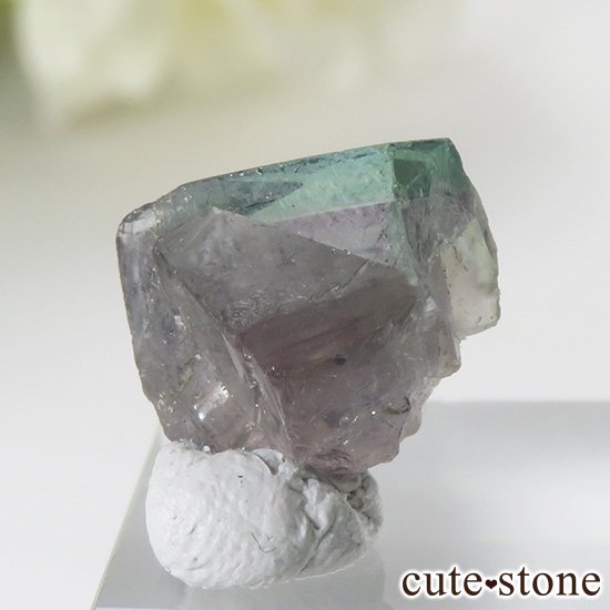 󥰥 ꡼ۻ Х顼ե饤Ȥη뾽ʸС2.4gμ̿0 cute stone