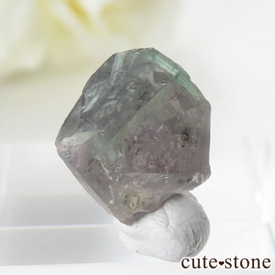 󥰥 ꡼ۻ Х顼ե饤Ȥη뾽ʸС2.4gμ̿1 cute stone
