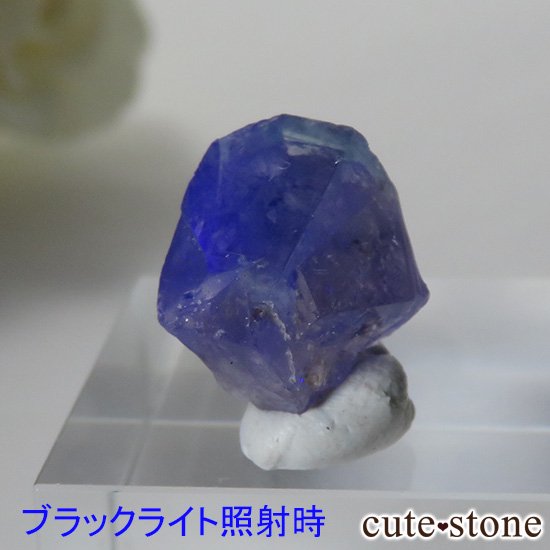 󥰥 ꡼ۻ Х顼ե饤Ȥη뾽ʸС2.4gμ̿3 cute stone