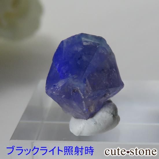 󥰥 ꡼ۻ Х顼ե饤Ȥη뾽ʸС2.4gμ̿3 cute stone