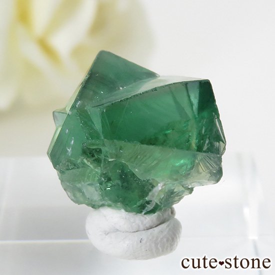 󥰥 ꡼ۻ ָե饤Ȥη뾽ʸС4.2gμ̿1 cute stone