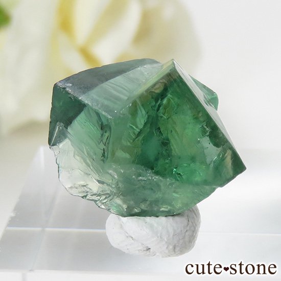 󥰥 ꡼ۻ ָե饤Ȥη뾽ʸС4.2gμ̿2 cute stone
